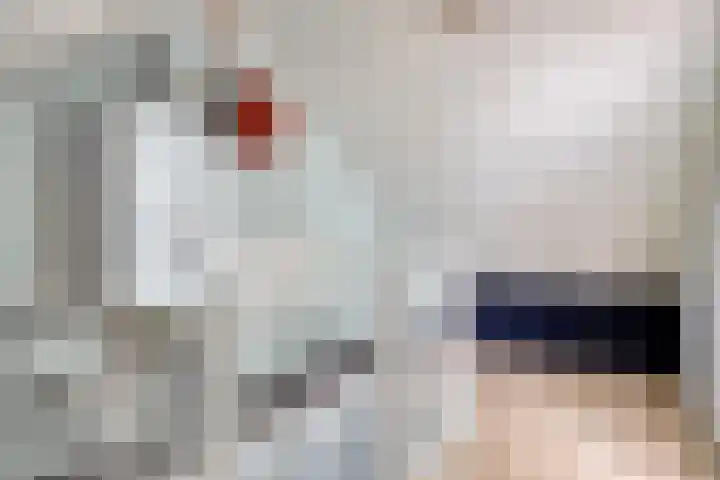 Triangelstraat 40 Uden thumbnail 27