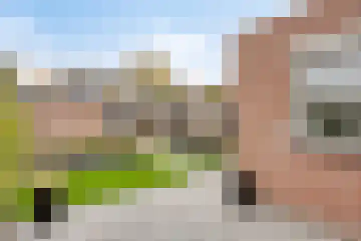 Triangelstraat 40 Uden thumbnail 29