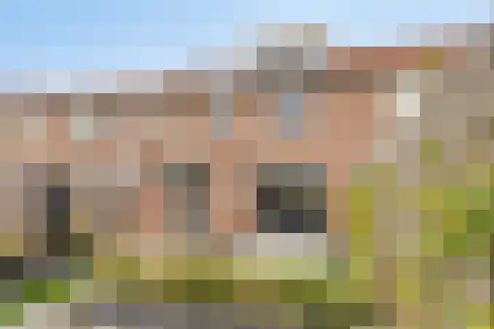 Triangelstraat 40 Uden thumbnail 30