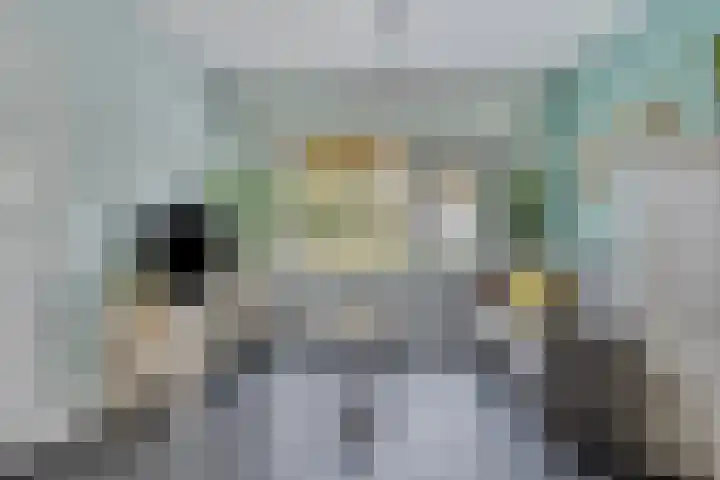 Triangelstraat 40 Uden thumbnail 4