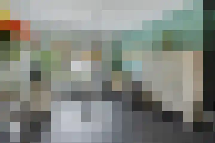 Triangelstraat 40 Uden thumbnail 5