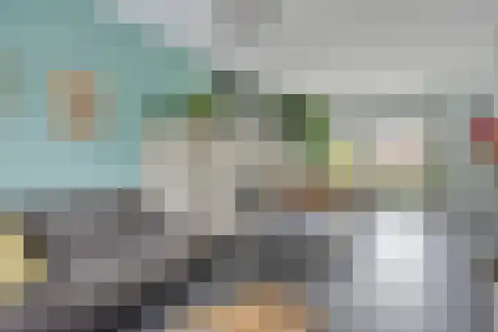Triangelstraat 40 Uden thumbnail 6
