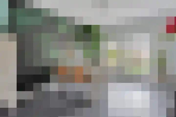 Triangelstraat 40 Uden thumbnail 8