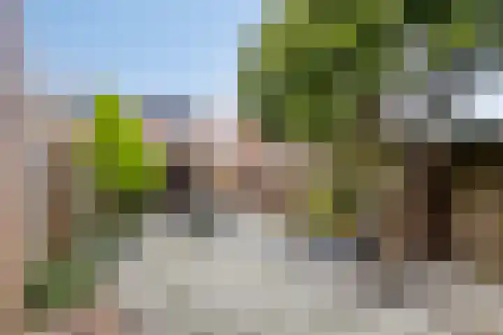 Trichterberg 31 De Meern thumbnail 24