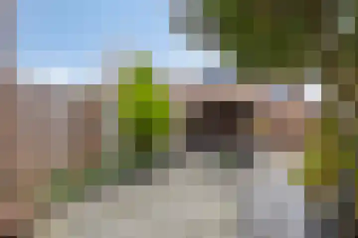 Trichterberg 31 De Meern thumbnail 25