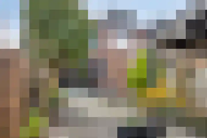 Trichterberg 31 De Meern thumbnail 27