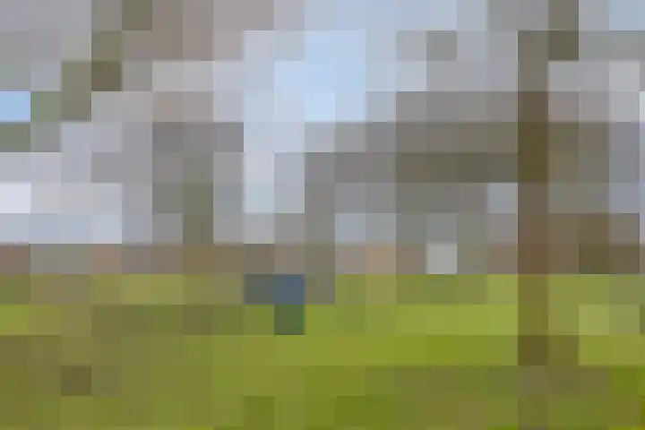 Trichterberg 31 De Meern thumbnail 36