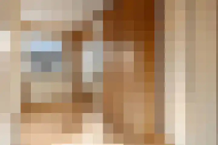 Trichtstraat 14 Tiel thumbnail 17