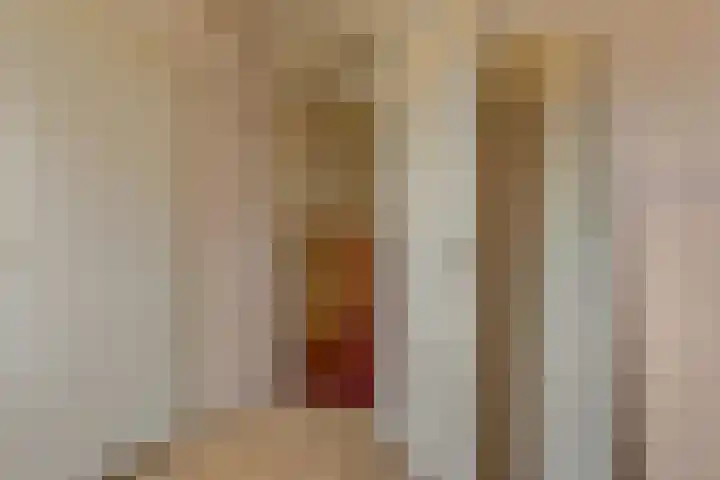 Trichtstraat 14 Tiel thumbnail 27