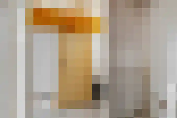 Trichtstraat 14 Tiel thumbnail 38