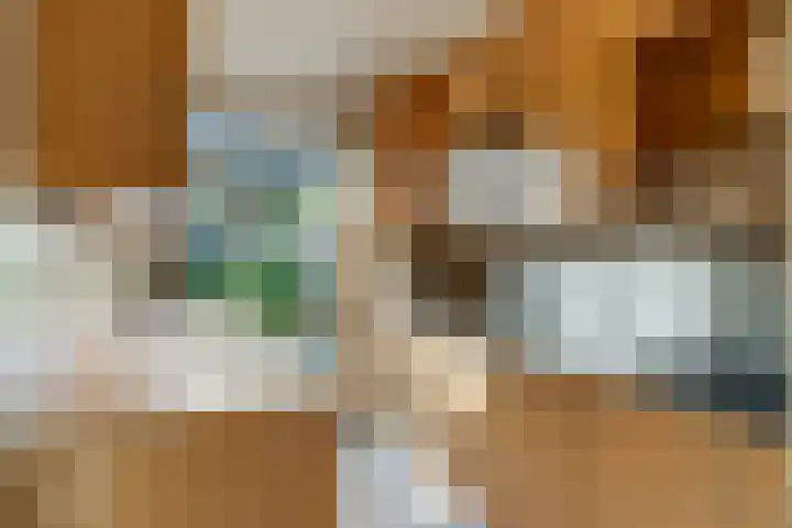 Trichtstraat 14 Tiel thumbnail 4