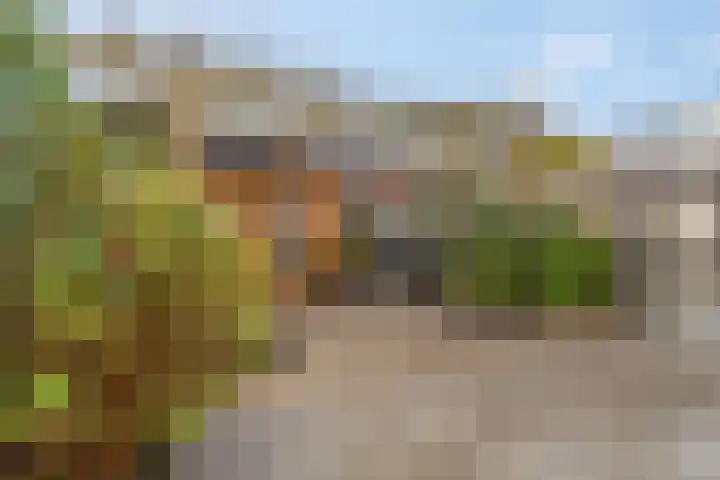 Trichtstraat 14 Tiel thumbnail 7