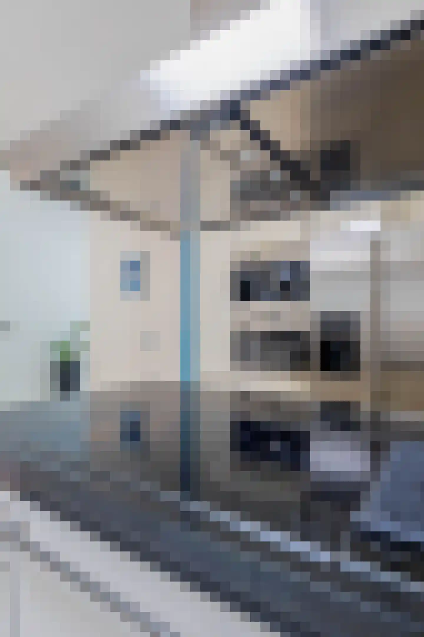 Trimpertstraat 9 Deurne thumbnail 27