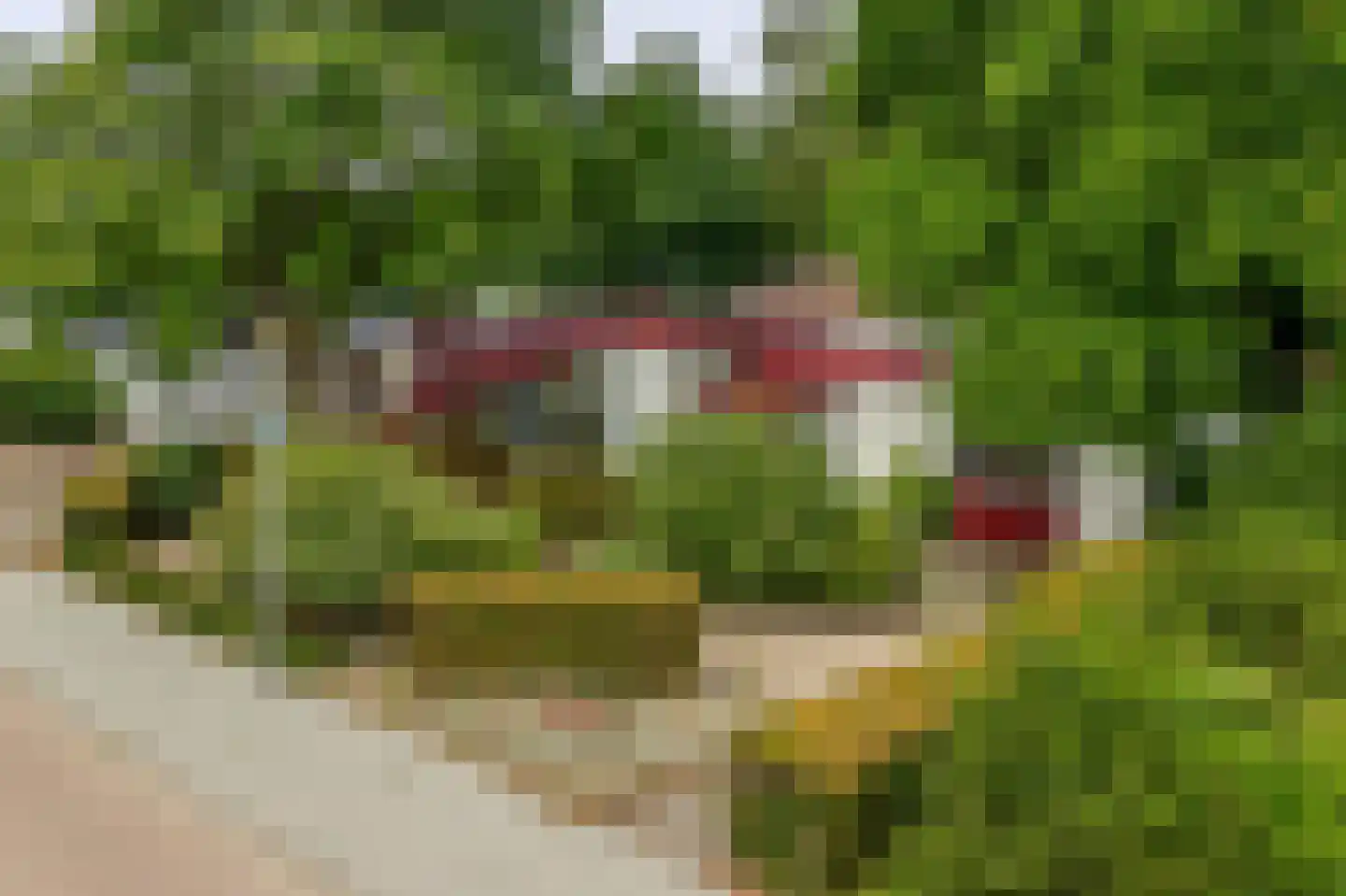 Trimpertstraat 9 Deurne thumbnail 50