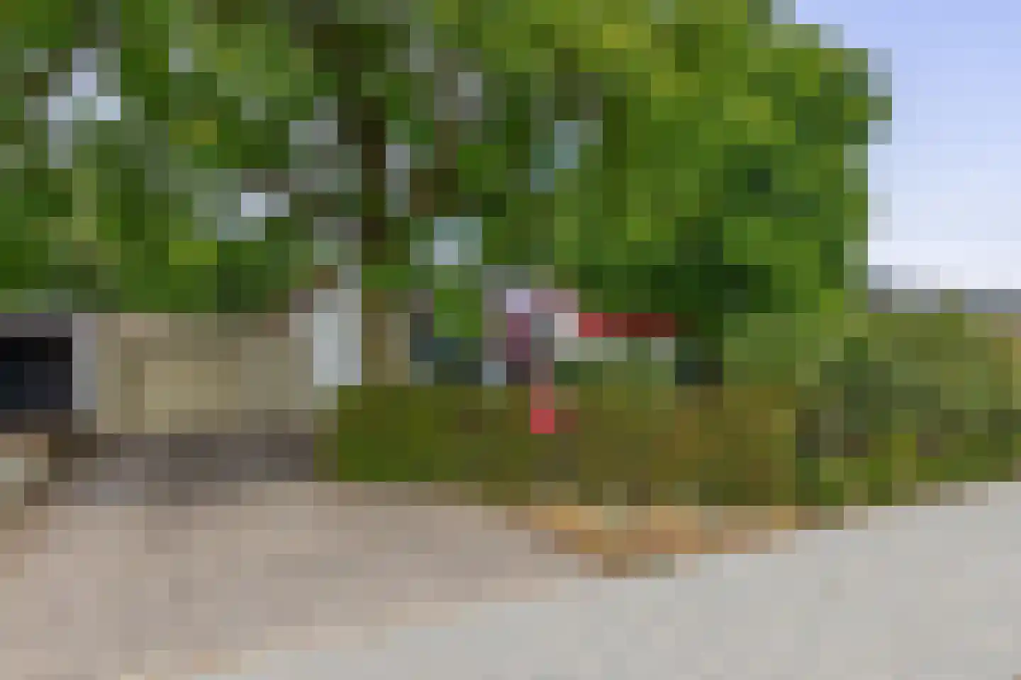 Trimpertstraat 9 Deurne thumbnail 57