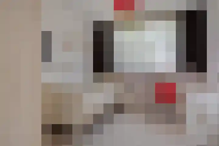 Trimpertstraat 9 Deurne thumbnail 6