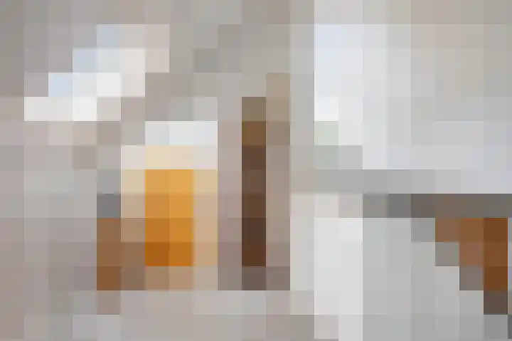 Trimpertstraat 9 Deurne thumbnail 7