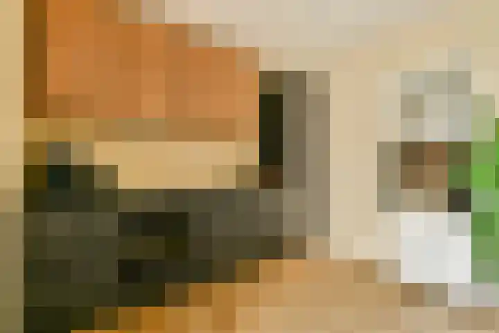 Trimurtistraat 28 Amsterdam thumbnail 9