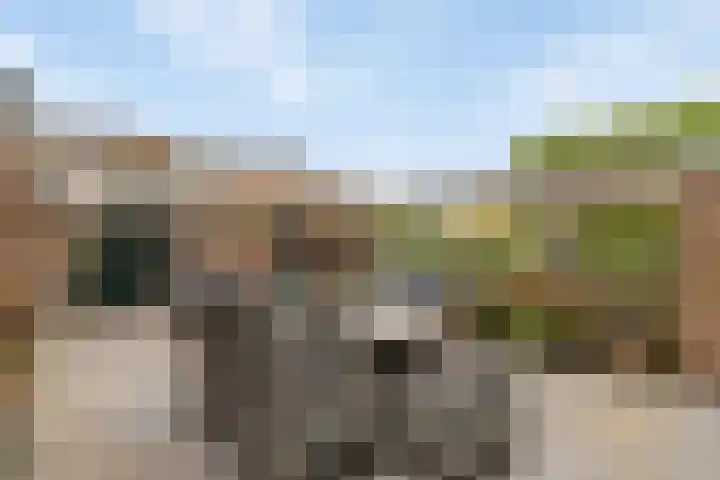 Trintel 89 Monnickendam thumbnail 5