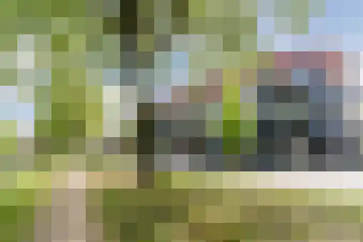 Triosingel 36 b Culemborg thumbnail 24