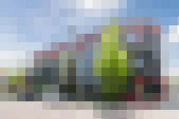 Triosingel 36 b Culemborg thumbnail 30