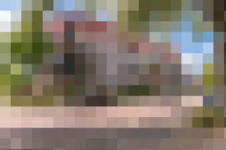 Triosingel 36 Culemborg