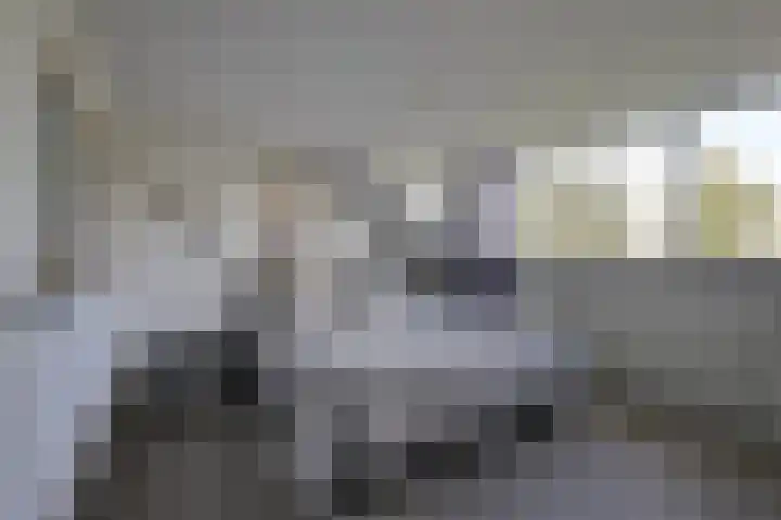 Trip 4 Schalkwijk thumbnail 38