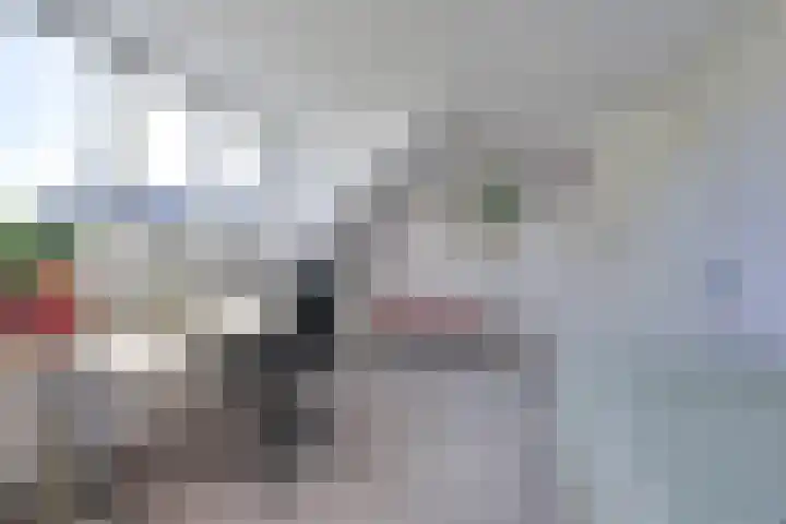 Trip 4 Schalkwijk thumbnail 44