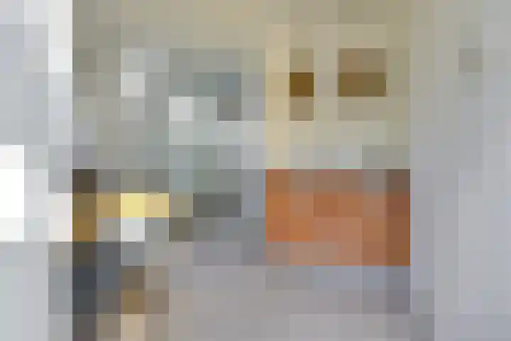 Trip 4 Schalkwijk thumbnail 50