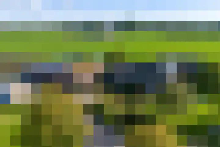 Trip 4 Schalkwijk thumbnail 63