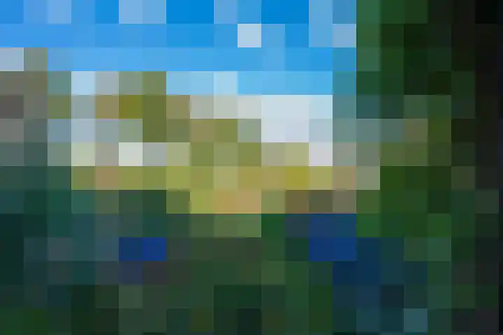 Trip 4 Schalkwijk thumbnail 9
