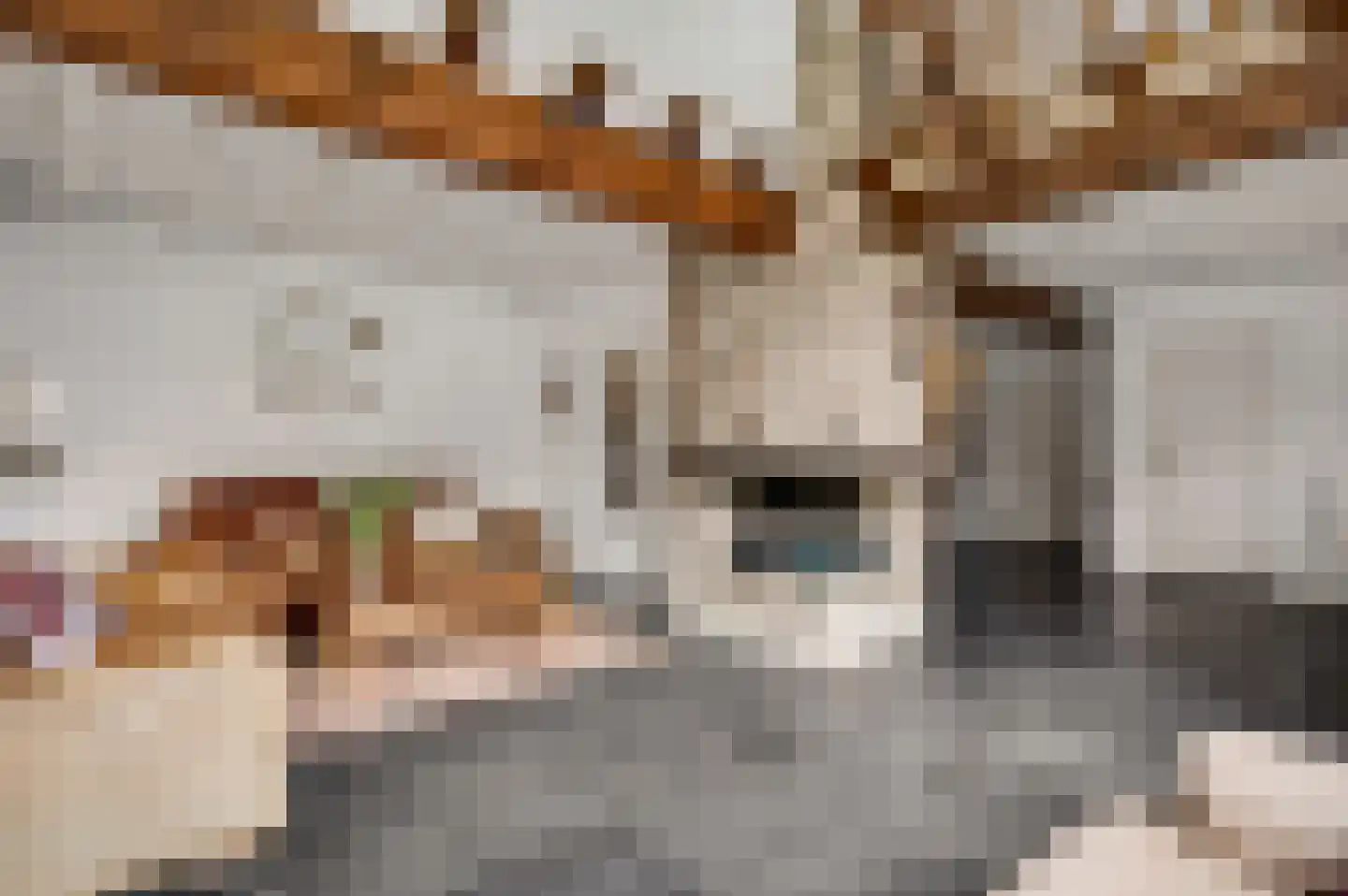 Trippaardstraat 33 Thorn thumbnail 15