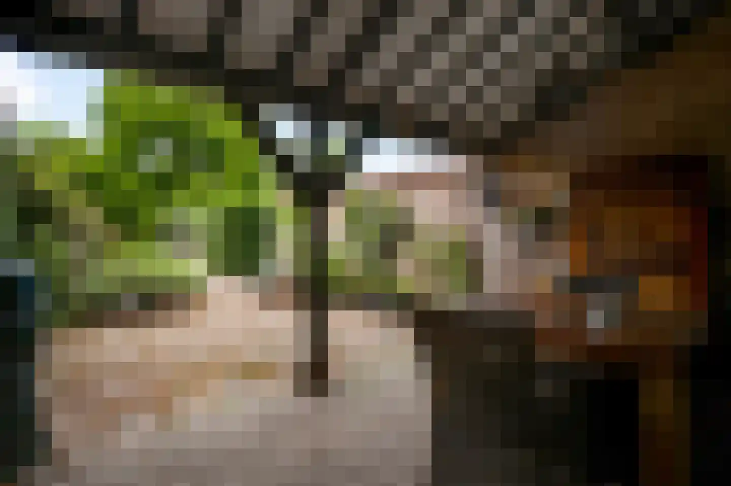 Trippaardstraat 33 Thorn thumbnail 20