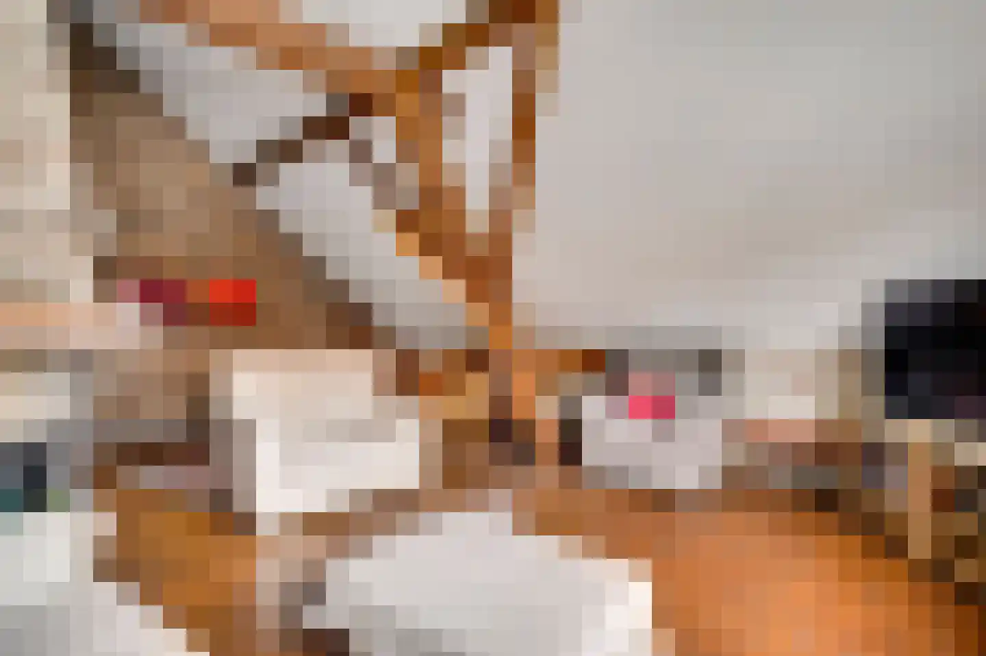 Trippaardstraat 33 Thorn thumbnail 30