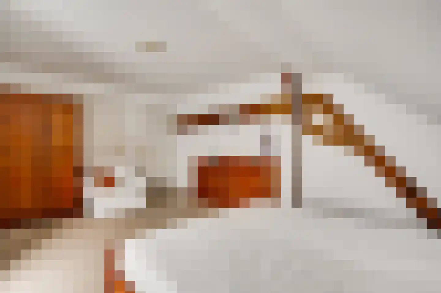Trippaardstraat 33 Thorn thumbnail 35