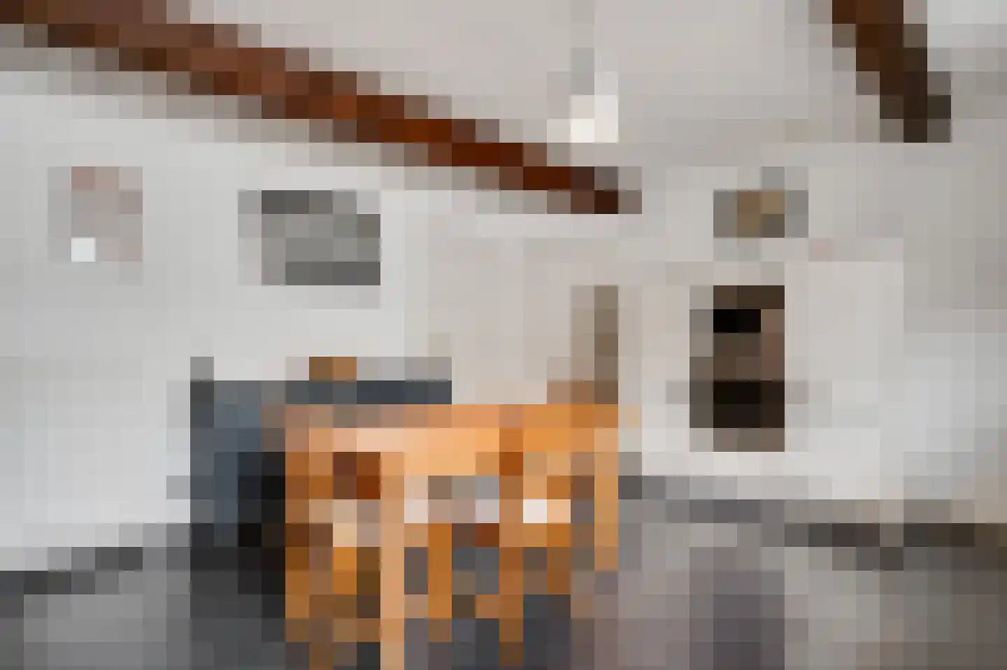 Trippaardstraat 33 Thorn thumbnail 8
