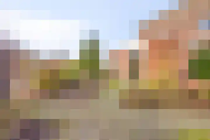 Trochietdijk 2 Roosendaal thumbnail 26