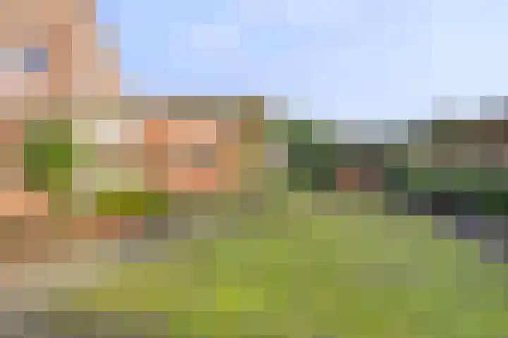 Trochietdijk 2 Roosendaal thumbnail 27