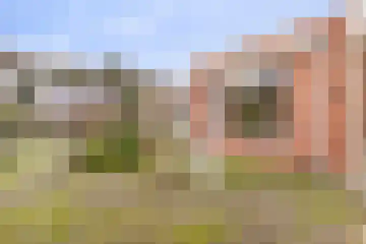 Trochietdijk 2 Roosendaal thumbnail 28