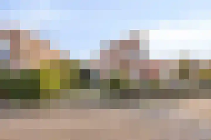 Trochietdijk 2 Roosendaal thumbnail 31