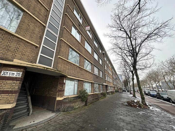 Troelstrakade 313 in 's-Gravenhage