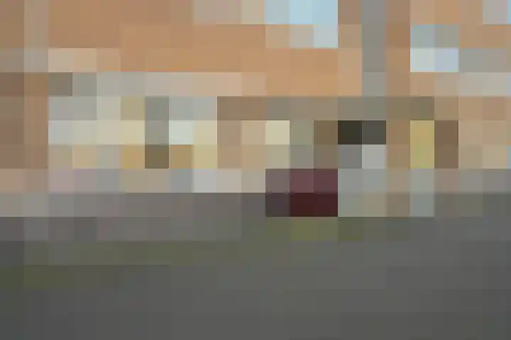 Troelstrakade 351 Den Haag thumbnail 19
