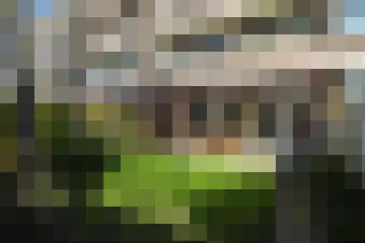 Troelstrakade 351 Den Haag thumbnail 4