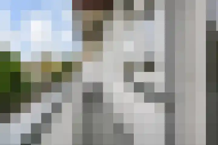 Troelstrakade 435 Den Haag thumbnail 28