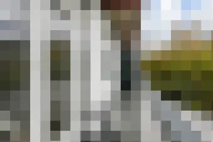 Troelstrakade 435 Den Haag thumbnail 29
