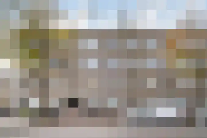 Troelstrakade 435 Den Haag thumbnail 34