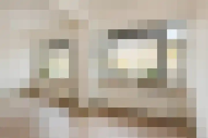 Troelstrakade 435 Den Haag thumbnail 4