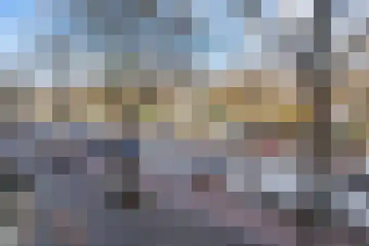 Troelstrakade 435 Den Haag thumbnail 5