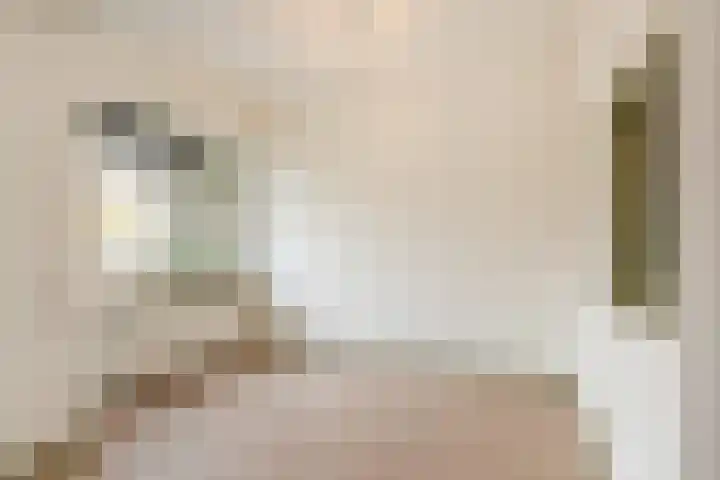 Troelstrakade 435 Den Haag thumbnail 6