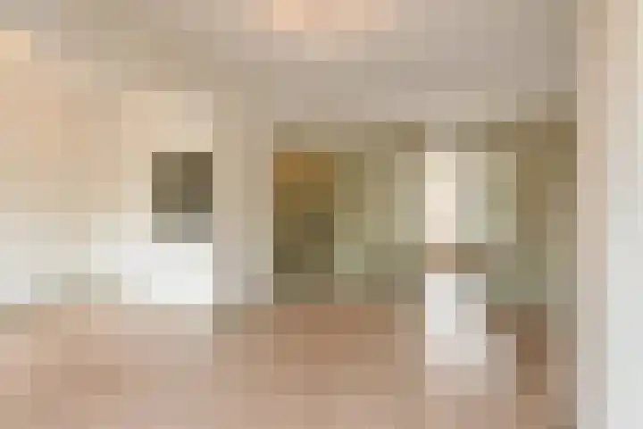 Troelstrakade 435 Den Haag thumbnail 9